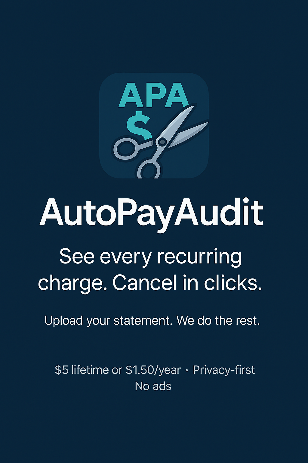 AutoPayAudit splash screen